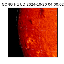 gong - 2024-10-20T04:00:02