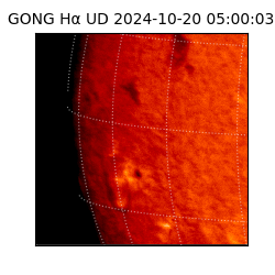 gong - 2024-10-20T05:00:03