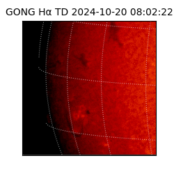 gong - 2024-10-20T08:02:22