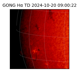 gong - 2024-10-20T09:00:22