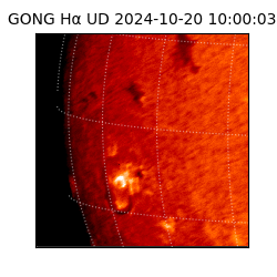 gong - 2024-10-20T10:00:03