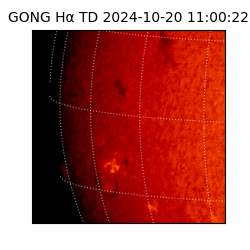 gong - 2024-10-20T11:00:22