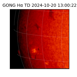 gong - 2024-10-20T13:00:22