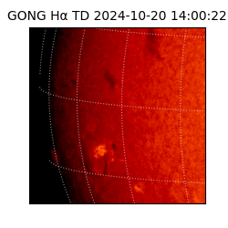 gong - 2024-10-20T14:00:22