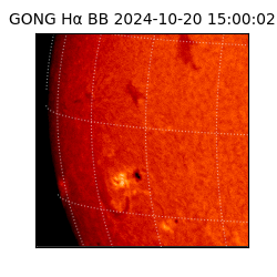 gong - 2024-10-20T15:00:02