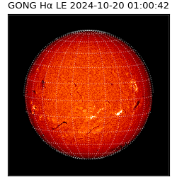 gong - 2024-10-20T01:00:42