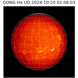 gong - 2024-10-20T02:08:03
