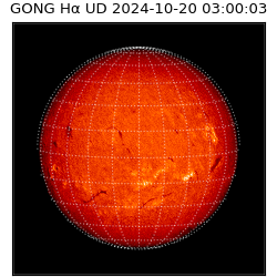 gong - 2024-10-20T03:00:03