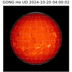 gong - 2024-10-20T04:00:02