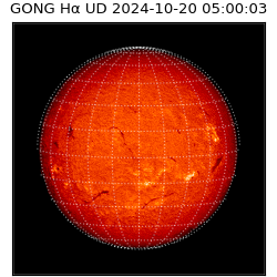 gong - 2024-10-20T05:00:03