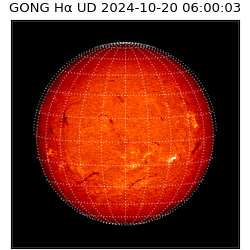 gong - 2024-10-20T06:00:03