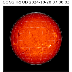 gong - 2024-10-20T07:00:03