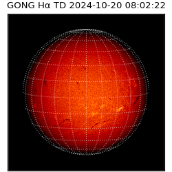 gong - 2024-10-20T08:02:22