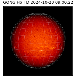 gong - 2024-10-20T09:00:22