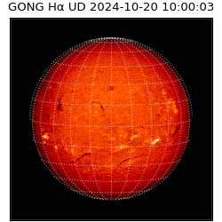 gong - 2024-10-20T10:00:03