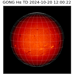 gong - 2024-10-20T12:00:22