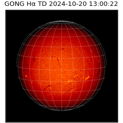 gong - 2024-10-20T13:00:22