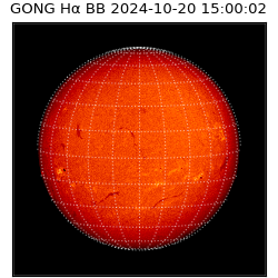 gong - 2024-10-20T15:00:02