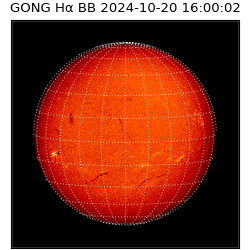 gong - 2024-10-20T16:00:02