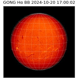 gong - 2024-10-20T17:00:02