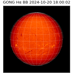 gong - 2024-10-20T18:00:02