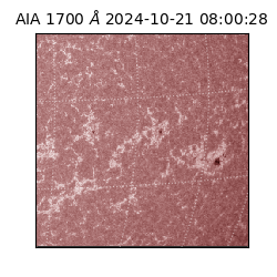 saia - 2024-10-21T08:00:28.720000