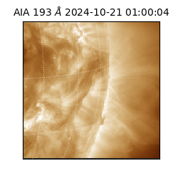 saia - 2024-10-21T01:00:04.839000