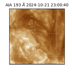 saia - 2024-10-21T23:00:40.843000