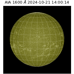 saia - 2024-10-21T14:00:14.129000