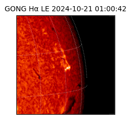 gong - 2024-10-21T01:00:42