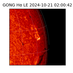 gong - 2024-10-21T02:00:42