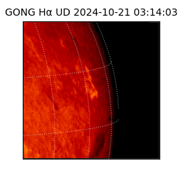 gong - 2024-10-21T03:14:03