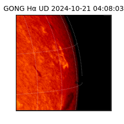 gong - 2024-10-21T04:08:03