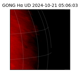 gong - 2024-10-21T05:06:03