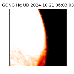 gong - 2024-10-21T06:03:03