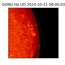 gong - 2024-10-21T08:00:03