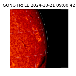 gong - 2024-10-21T09:00:42