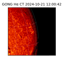 gong - 2024-10-21T12:00:42