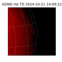 gong - 2024-10-21T14:09:22