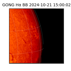 gong - 2024-10-21T15:00:02