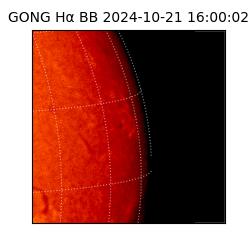 gong - 2024-10-21T16:00:02