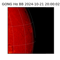 gong - 2024-10-21T20:00:02