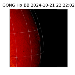 gong - 2024-10-21T22:22:02