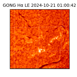 gong - 2024-10-21T01:00:42