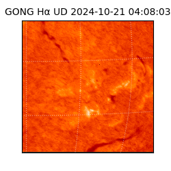 gong - 2024-10-21T04:08:03