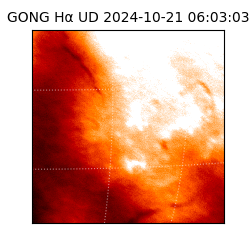 gong - 2024-10-21T06:03:03