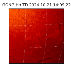 gong - 2024-10-21T14:09:22