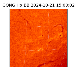 gong - 2024-10-21T15:00:02