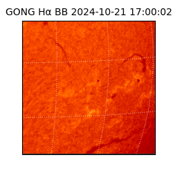 gong - 2024-10-21T17:00:02