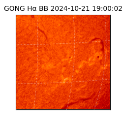 gong - 2024-10-21T19:00:02